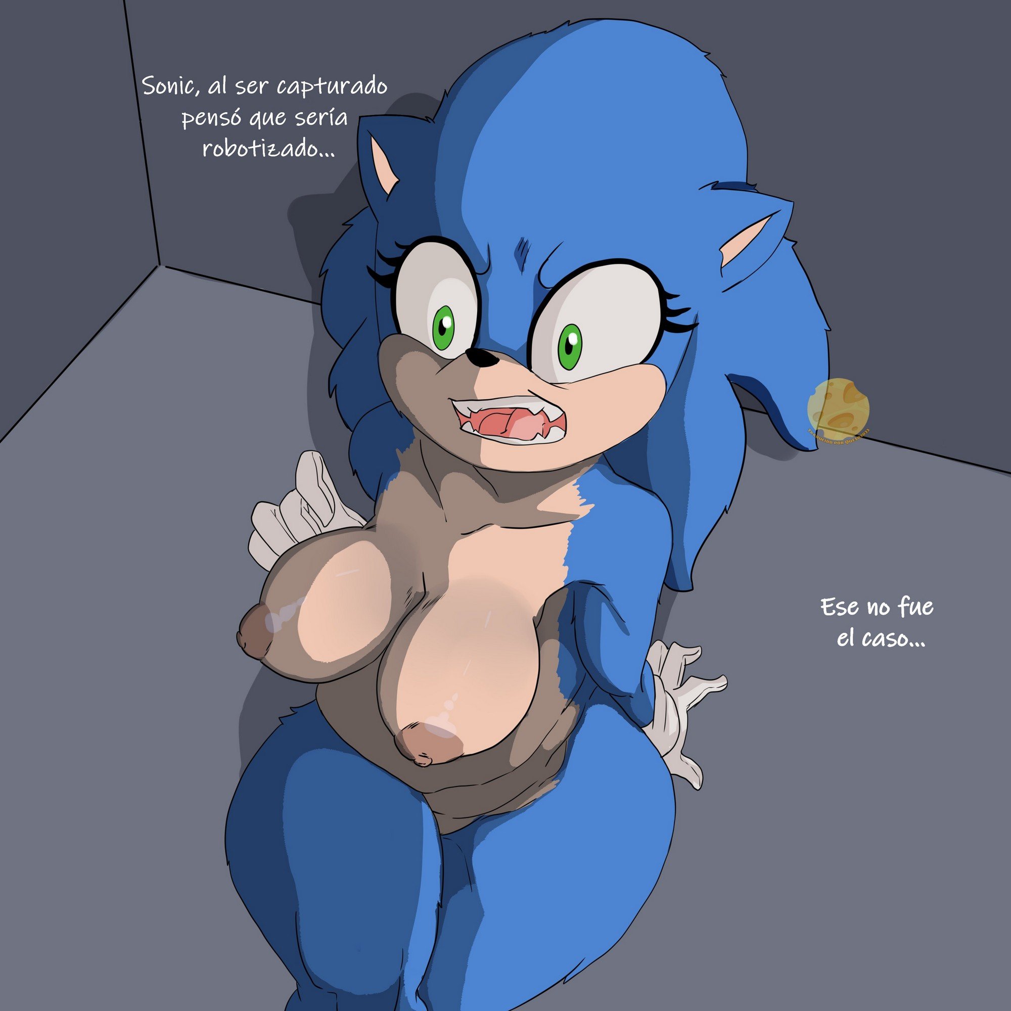 Sonic TF Comic – Inuyuru - 21e54c1c6626d38446120ec236ceaddd