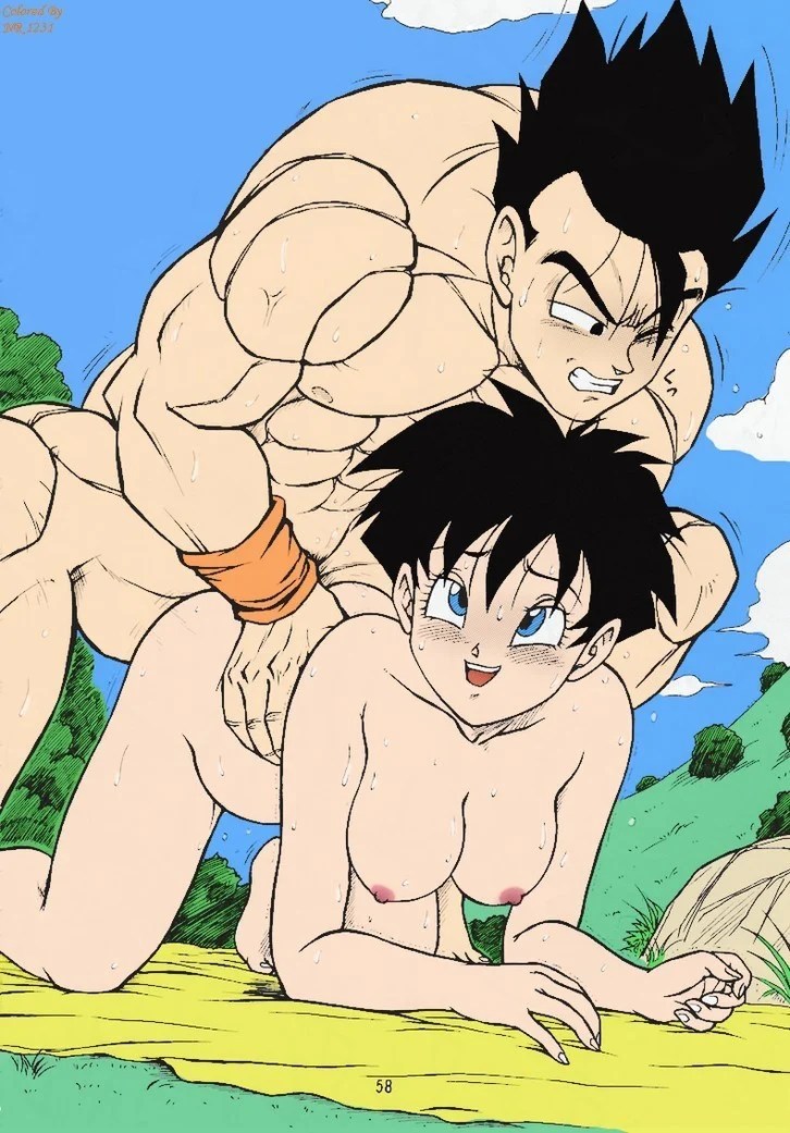 Dragon Ball H – Gohan x Videl - b07c28b74fbdf880e0c51de8a49a3ac7