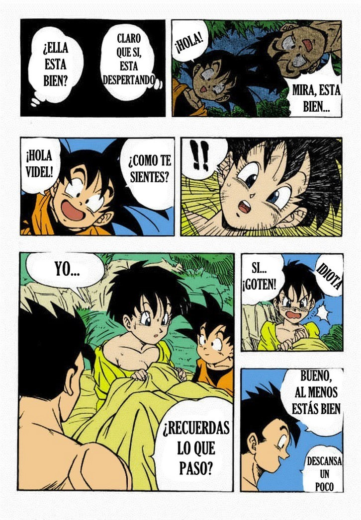 Dragon Ball H – Gohan x Videl - b1a496254757efd9d73311e9c21eaeed